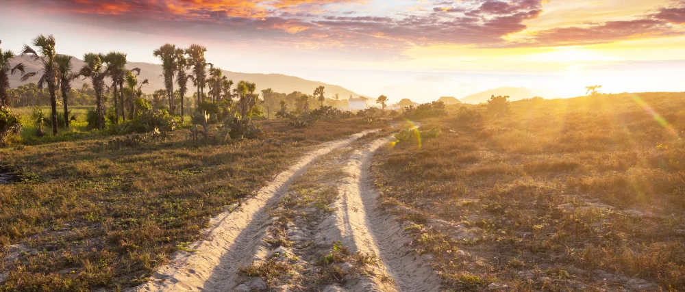 Jackpot in the Dust, Where Desert Roads and Digital Odds Collide